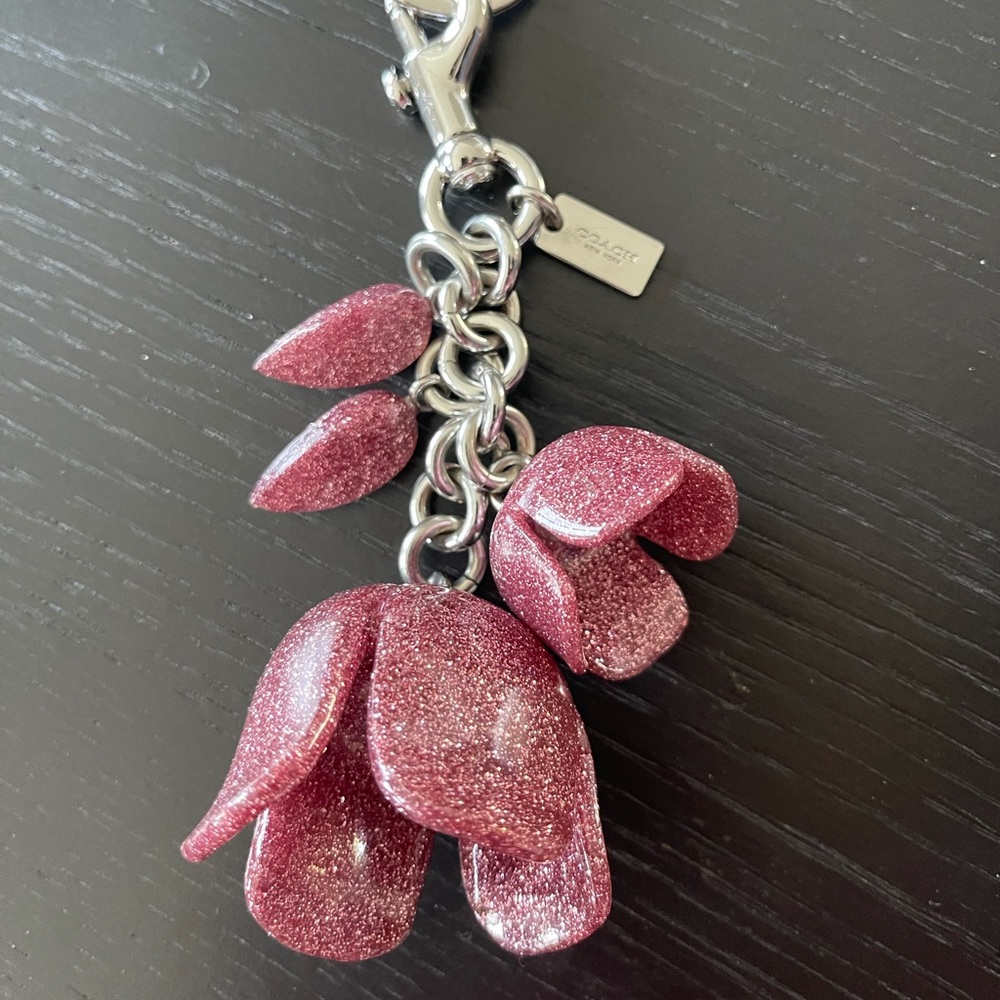 Coach key chain